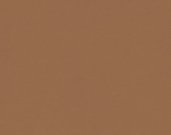 [100111115_14] Marmoleum Walton - 3370 terracotta
